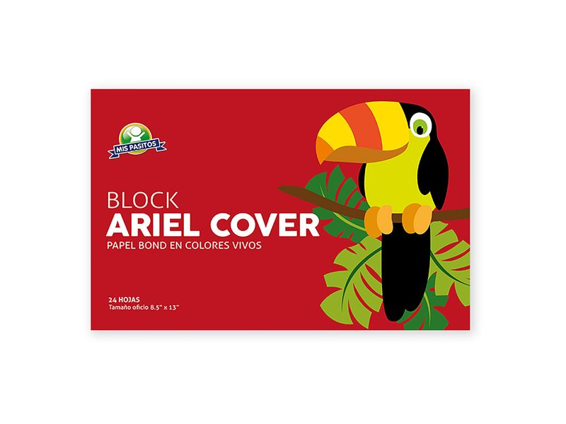 Block-Mis-Pasitos-Ariel-Cover-Oficio-24H-1-28745