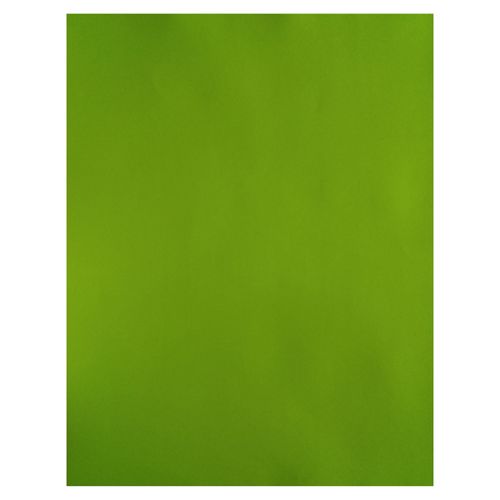 Cartulina AAA ariel cover pliego color verde lima