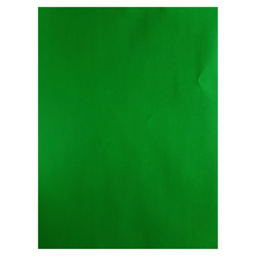 Cartulina AAA ariel cover pliego color verde