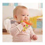 Fisher-Price-Pizza-Teether-3-18931