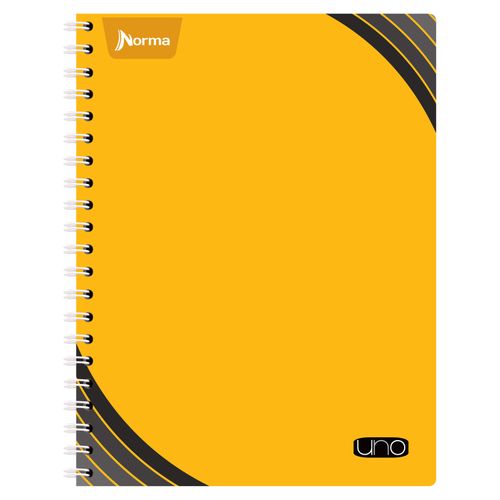 Cuaderno Norma Uno Esp 100H