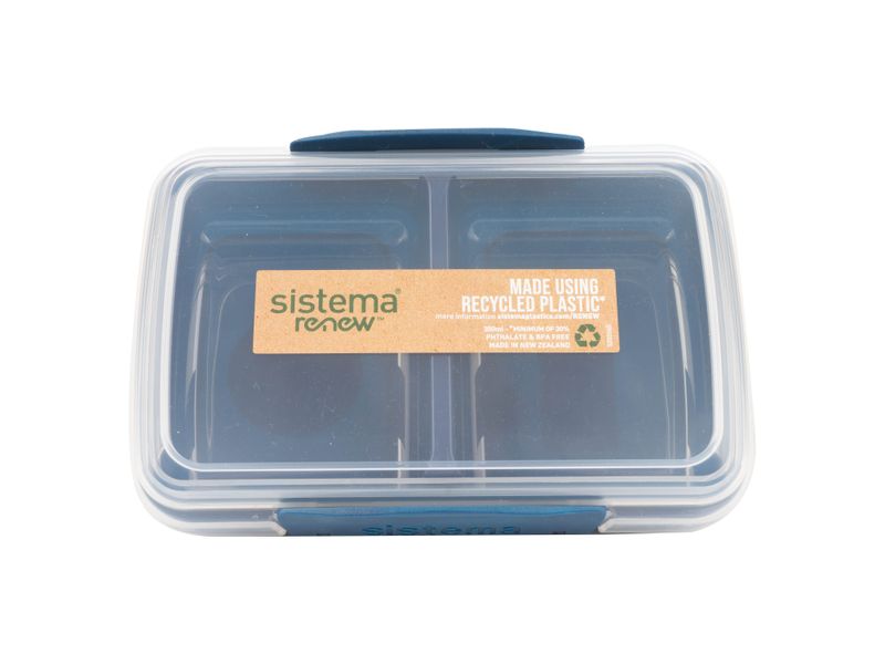 Recipiente-Sistema-Con-Division-Pequeno-1-47572