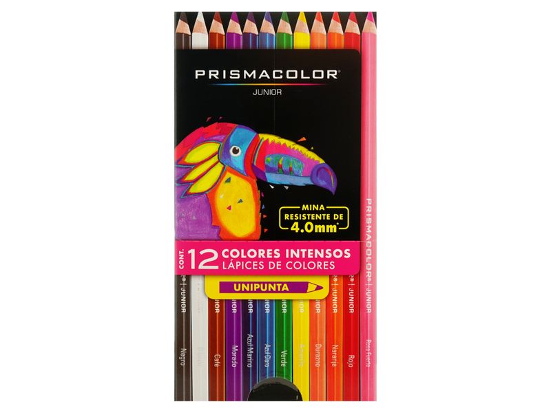 12-Lapices-De-Color-Prismacolor-Junior-1-6786