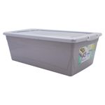 Caja-Organizate-Guateplast-Aq-6Lt-Varios-10-47461