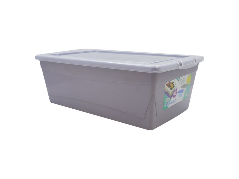 Caja-Organizate-Guateplast-Aq-6Lt-Varios-10-47461