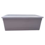 Caja-Organizate-Guateplast-Aq-6Lt-Varios-11-47461