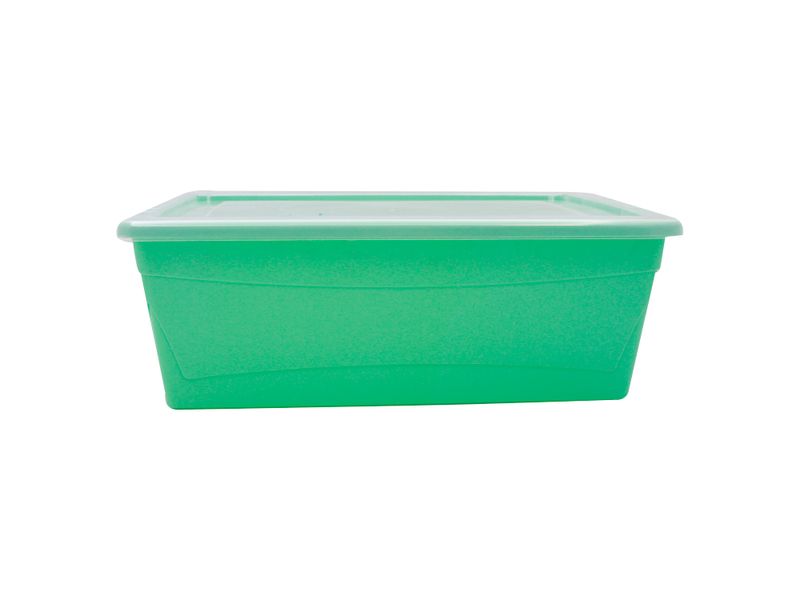 Caja-Organizate-Guateplast-Aq-6Lt-Varios-2-47461