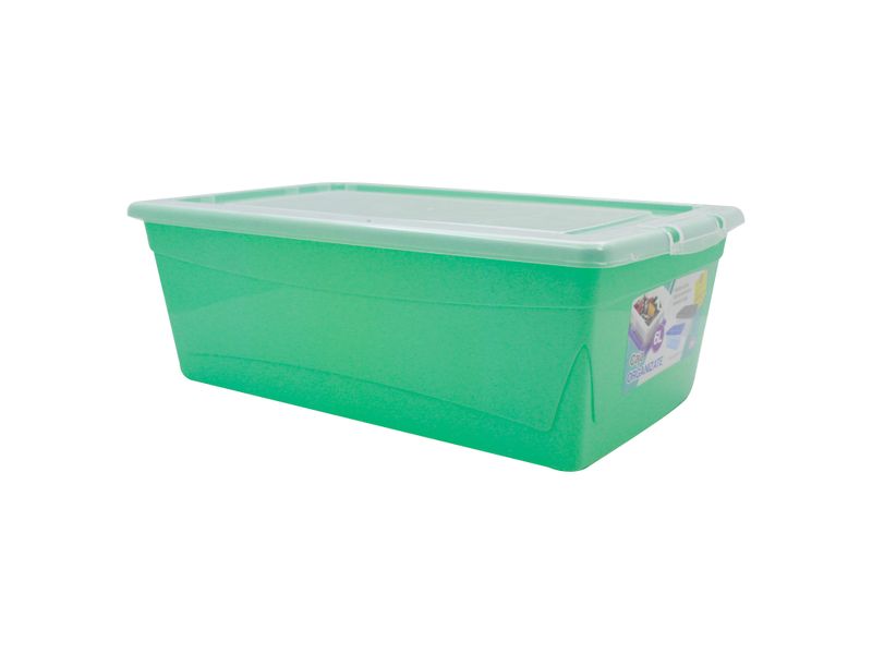 Caja-Organizate-Guateplast-Aq-6Lt-Varios-4-47461