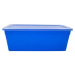 Caja-Organizate-Guateplast-Aq-6Lt-Varios-6-47461