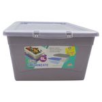 Caja-Organizate-Guateplast-Aq-6Lt-Varios-8-47461