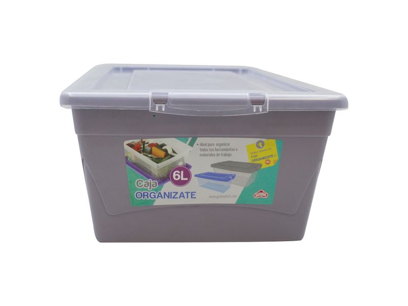 Caja-Organizate-Guateplast-Aq-6Lt-Varios-8-47461