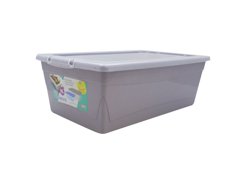 Caja-Organizate-Guateplast-Aq-6Lt-Varios-9-47461