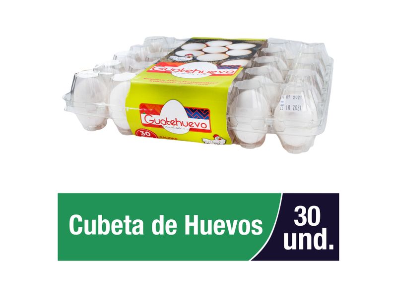 Huevo-Guatehuevo-Grande-Blanco-30-Und-1-12170