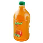 Jugo-Rabinal-De-Mango-1800ml-3-15140