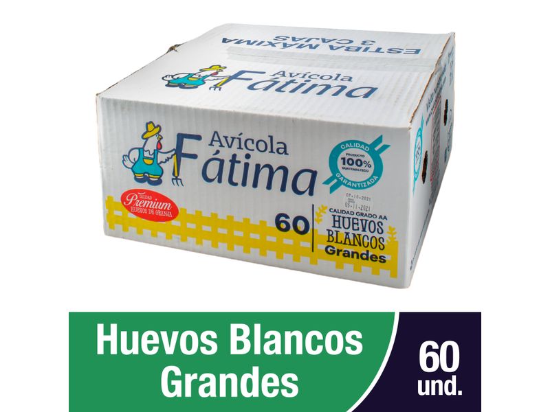 Huevo-Avicola-Fatima-Grande-Blanco-60-unidades-1-30524