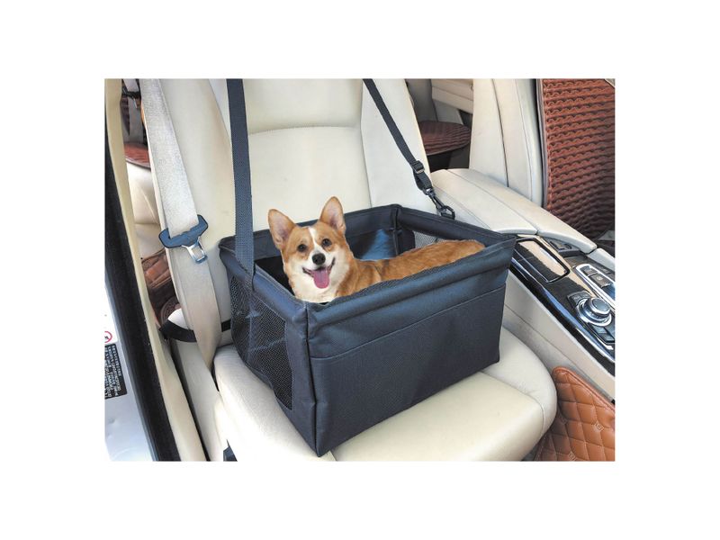 Organizador-Para-Perro-Ad-Negro-39-Cms-1-25433