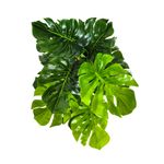 Palma-Mainstays-Artificial-Con-Maceta-Blanca-2-48095