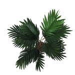 Palmera-Mainstays-Artificial-Con-Maceta-Blanca-3-48096