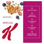 Cereal-Kellogrgr-s-Special-K-Antoxidantes-Cosecha-Roja-de-Ar-ndanos-y-Moras-Cereal-de-Trigro-Ma-z-Arroz-Avena-y-Salvado-de-Trigro-con-Frutos-Ro-4-35510