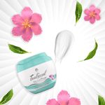 Crema-Teatrical-Facial-Humectante-100gr-7-12733