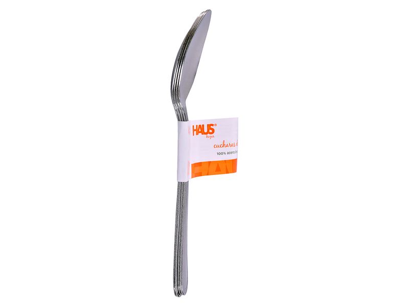 Set-Haus-De-4-Cucharas-Unidad-1-20836