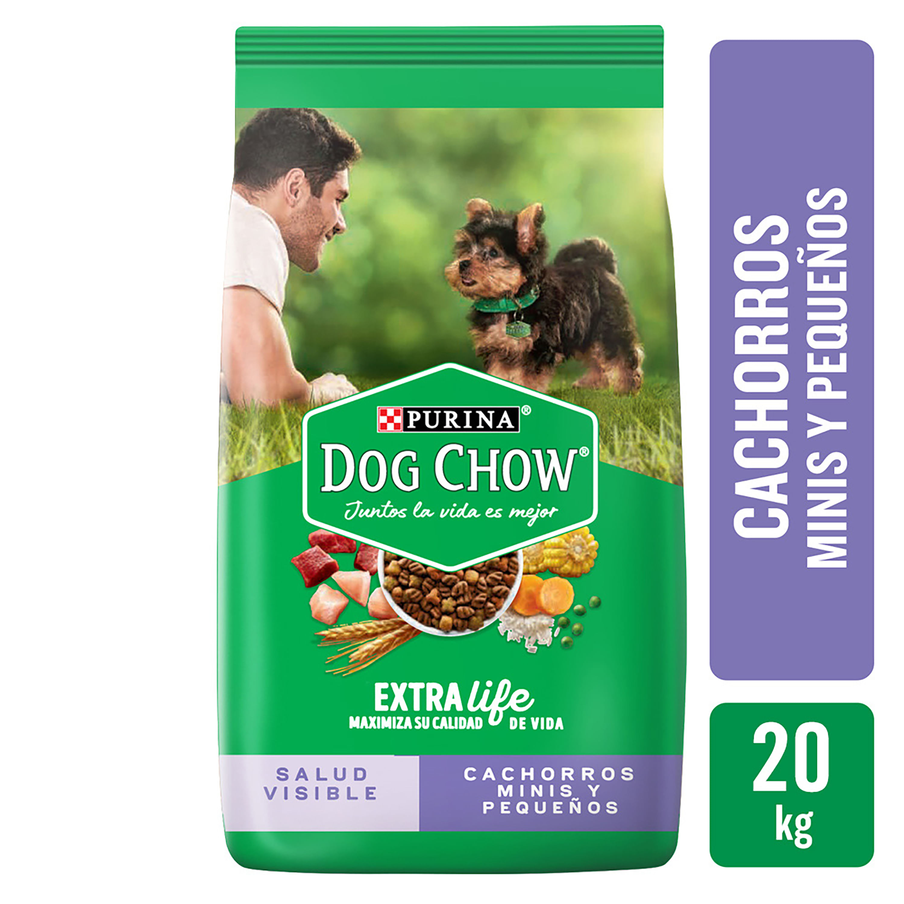 Comprar Alimento Perro Cachorro Purina Dog Chow Minis y Pequeños 20kg |  Walmart Guatemala