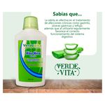 Jugo-Aloe-Vera-Verde-Vita-360ml-3-30397