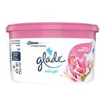 Mini-Gel-Glade-Floral-70gr-Mini-Gel-Floral-Glade-70G-2-36004