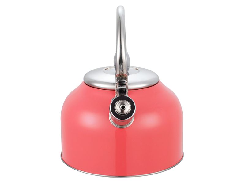Tetera-Mainstays-Con-Recubrimiento-Color-2-5Lt-15-49325