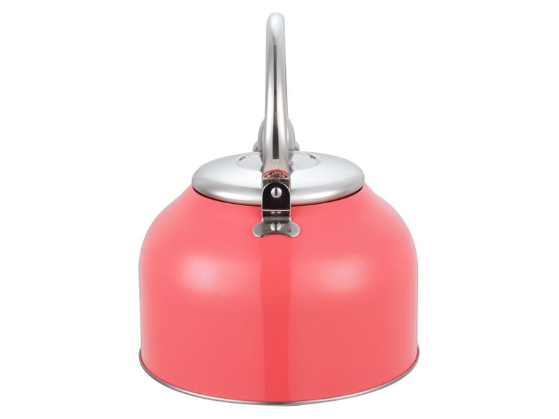 Tetera-Mainstays-Con-Recubrimiento-Color-2-5Lt-18-49325