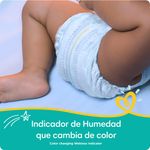 Pampers-Baby-Dry-S3-168-Und-6-5093