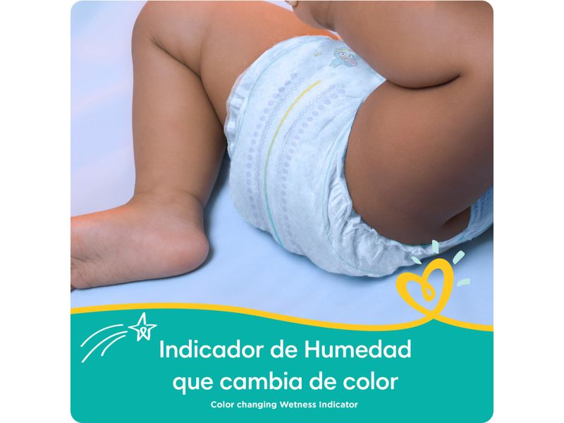 Pampers-Baby-Dry-S3-168-Und-6-5093