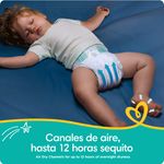 Pampers-Baby-Dry-S3-168-Und-8-5093