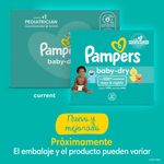 Pa-ales-Pampers-Baby-Dry-S5-112-Unidades-11-5130