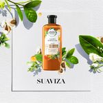 Bio-Shampoo-Herbal-Essences-Renew-Golden-Mori-400ml-10-9069