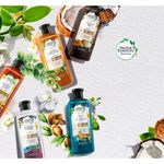 Bio-Shampoo-Herbal-Essences-Renew-Golden-Mori-400ml-11-9069