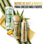 Pantene-Cc-Bambu-300Ml-9-35304