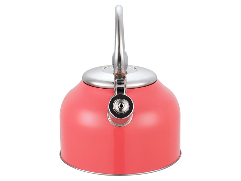 Tetera-Mainstays-Con-Recubrimiento-Color-2-5Lt-9-49325