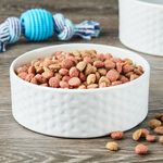 Alimento-Ol-Roy-Seco-Adulto-Completo-1800gr-2-48652