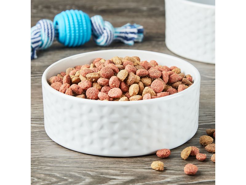 Alimento-Ol-Roy-Seco-Adulto-Completo-1800gr-2-48652