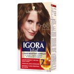 Tinte-Igora-Vital-6-68-Chocolate-Kit-1-48826