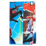 Mantel-Spiderman-1-Unidad-2-49682