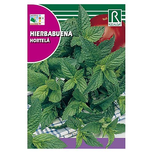 Semilla Rocalba Hierbabuena