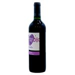 Vino-Mancura-Etnia-Semisweet-Carme-750Ml-2-40729