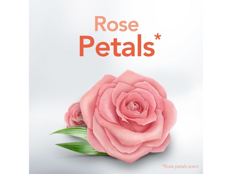 Desodorante-Lady-Speed-Stick-Zero-Rose-Petals-Aerosol-91-g-5-38763