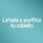 Shampoo-Palmolive-Optims-Control-Caspa-Limpieza-Purificante-680-ml-4-38706