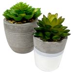Suculentas-Con-Base-De-Barro-Gris-1-20865