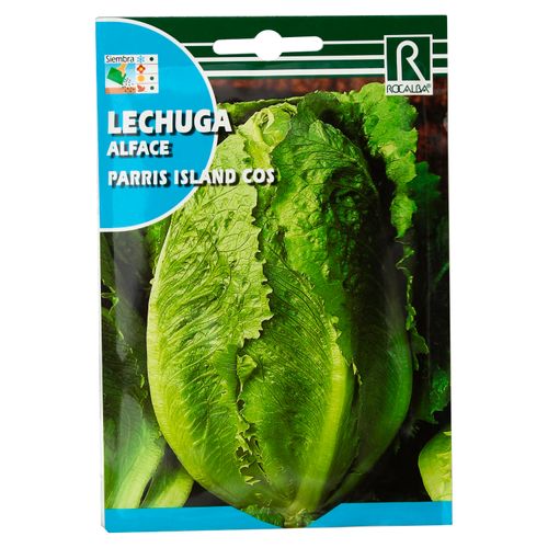 Semillla Rocalba Lechuga Parris