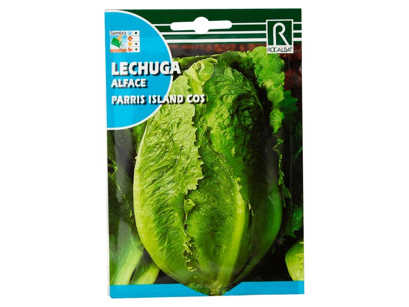 Semillla-Rocalba-Lechuga-Parris-1-41826