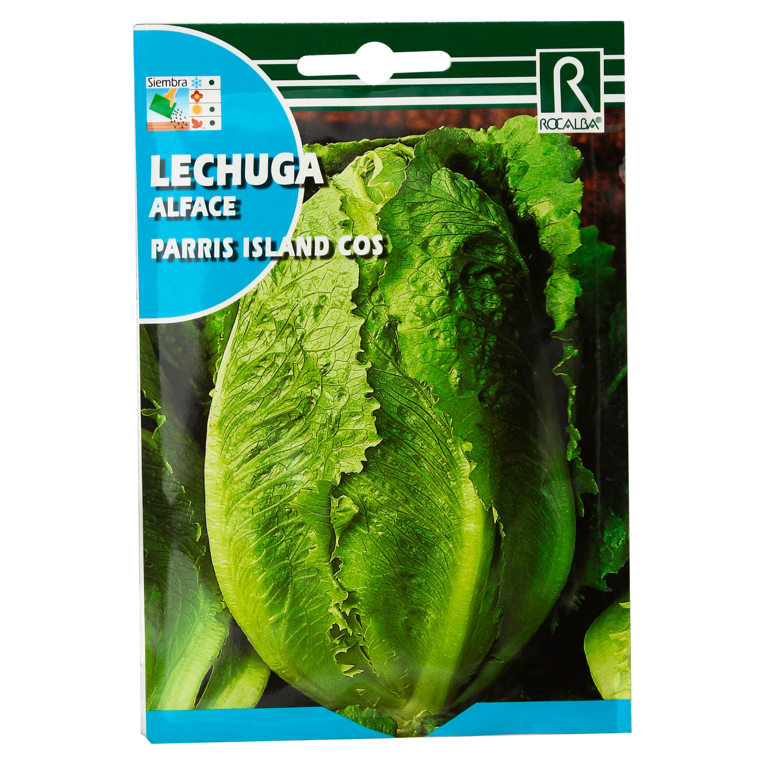 Semillla-Rocalba-Lechuga-Parris-1-41826